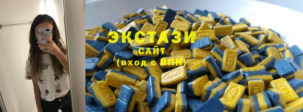 шишки Коряжма