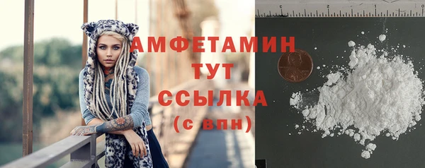 шишки Коряжма