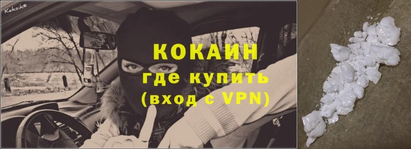 гашик Костерёво