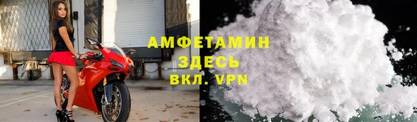 шишки Коряжма