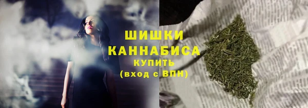 гашик Костерёво