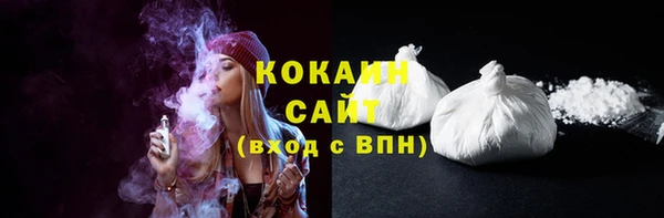 шишки Коряжма