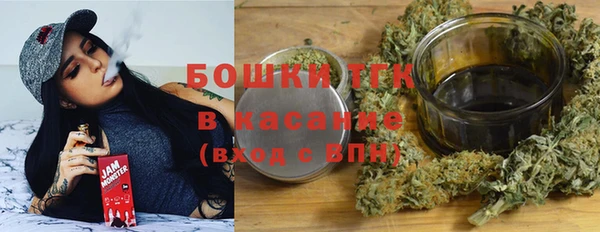 шишки Коряжма