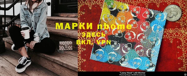 шишки Коряжма