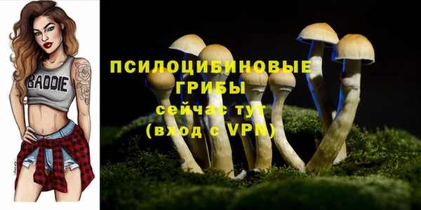 герыч Корсаков